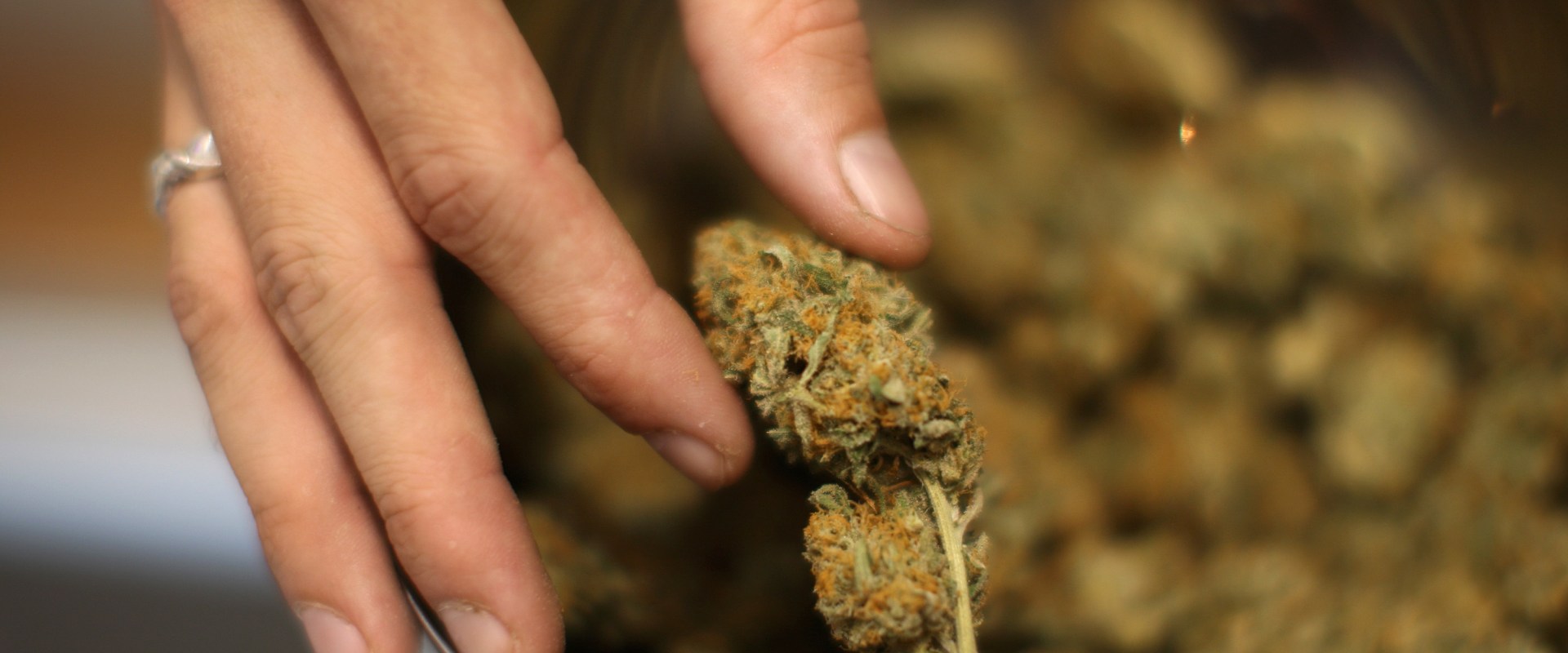How does the potency of different strains of cannabis containing thc-o vary?