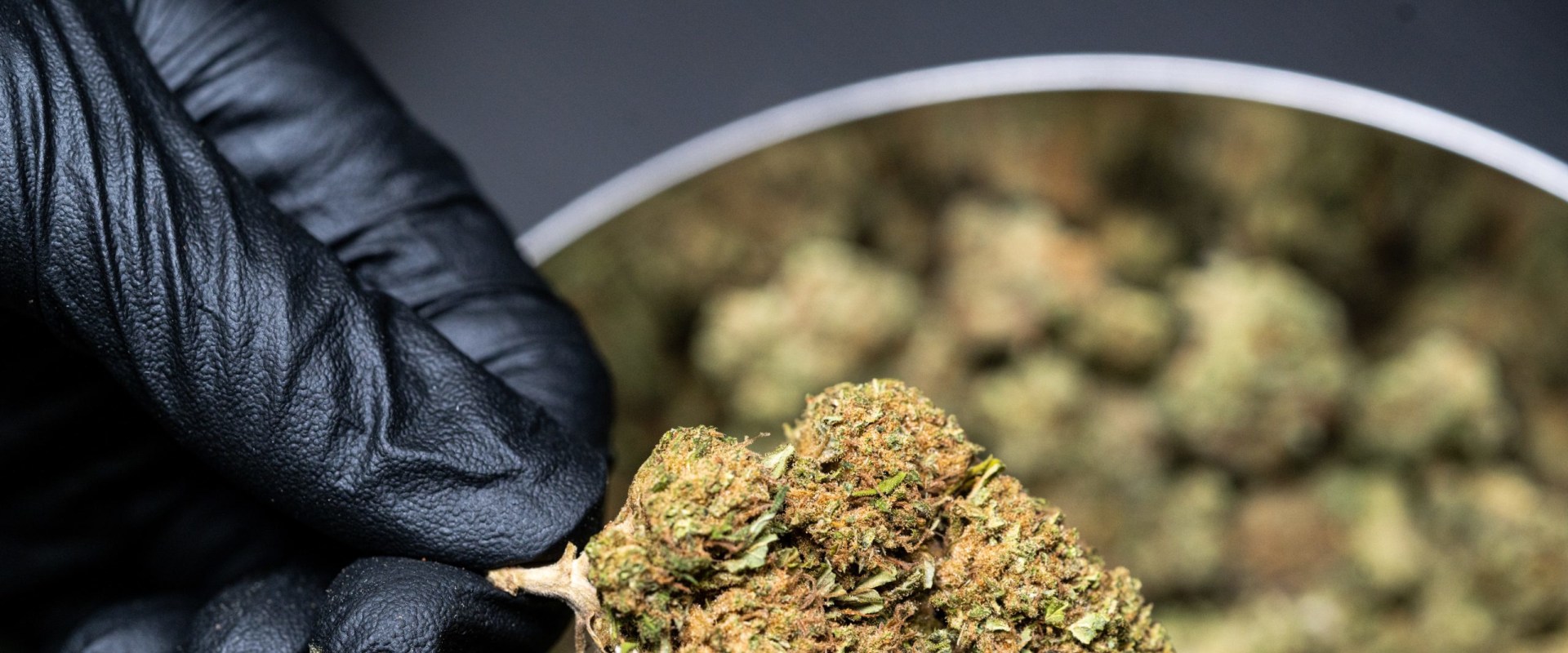 Are there any studies that have been conducted on the effects of using or consuming thc-o?
