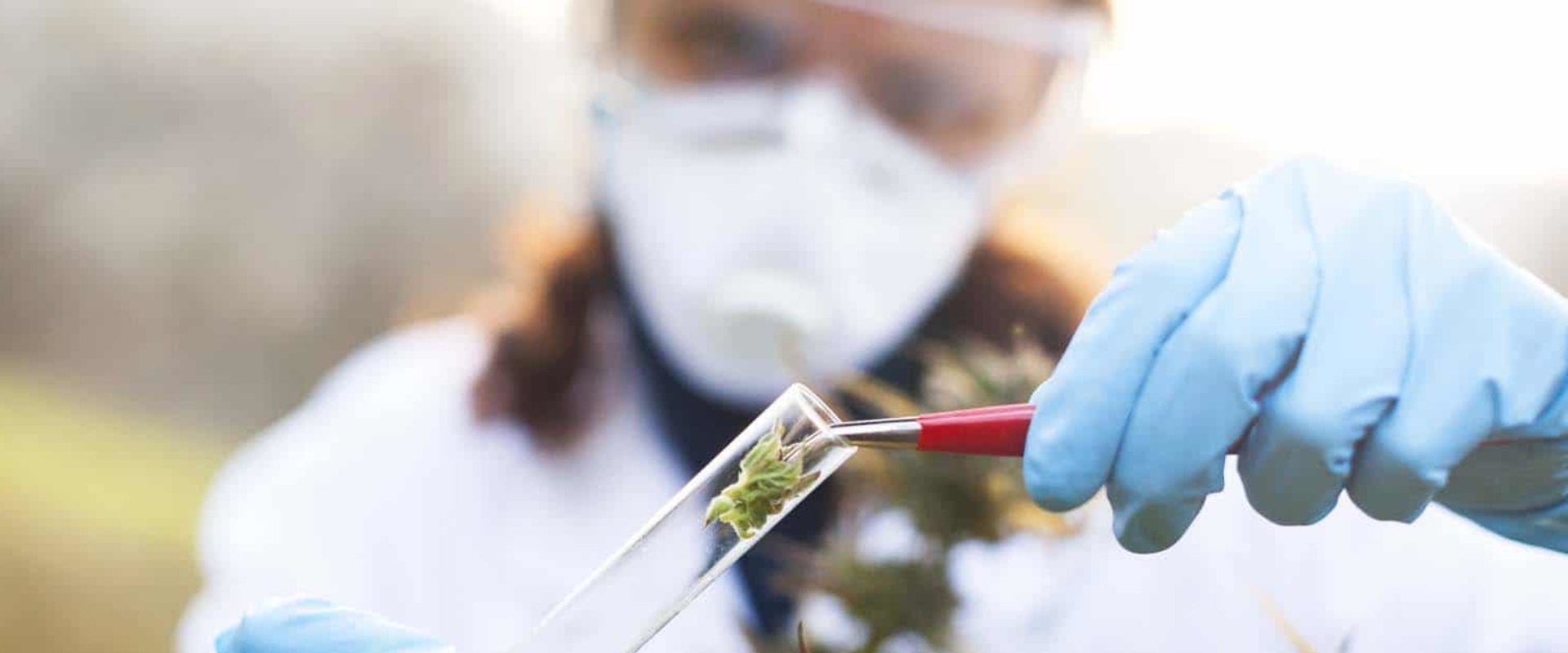 How is thc-o administered in medical settings?