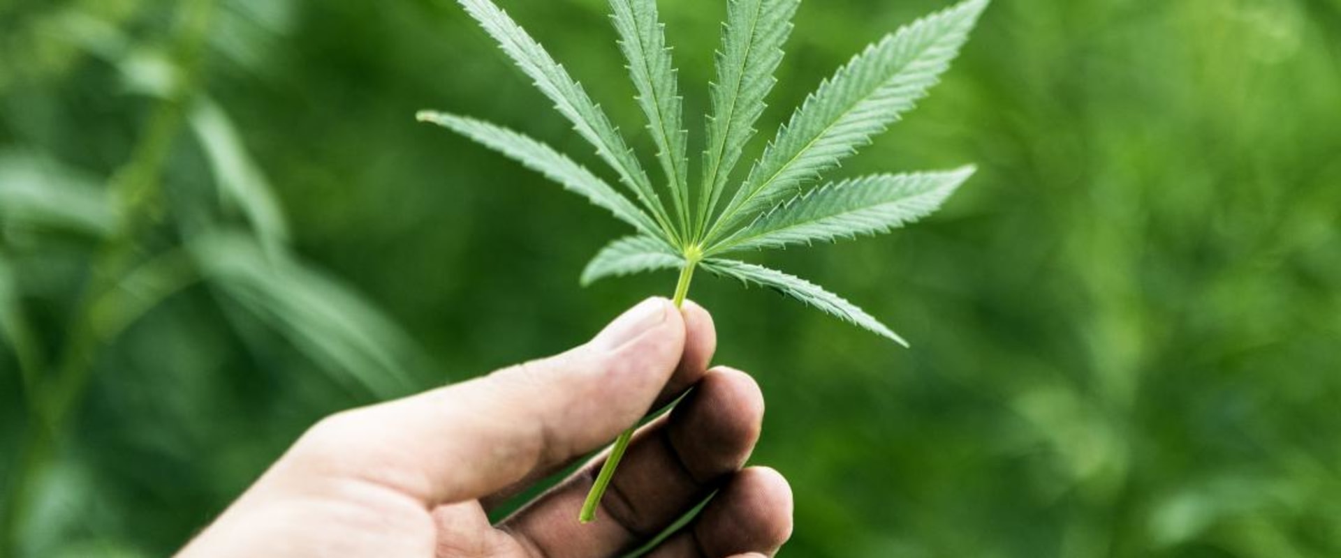 Is thc-o stronger than thc?