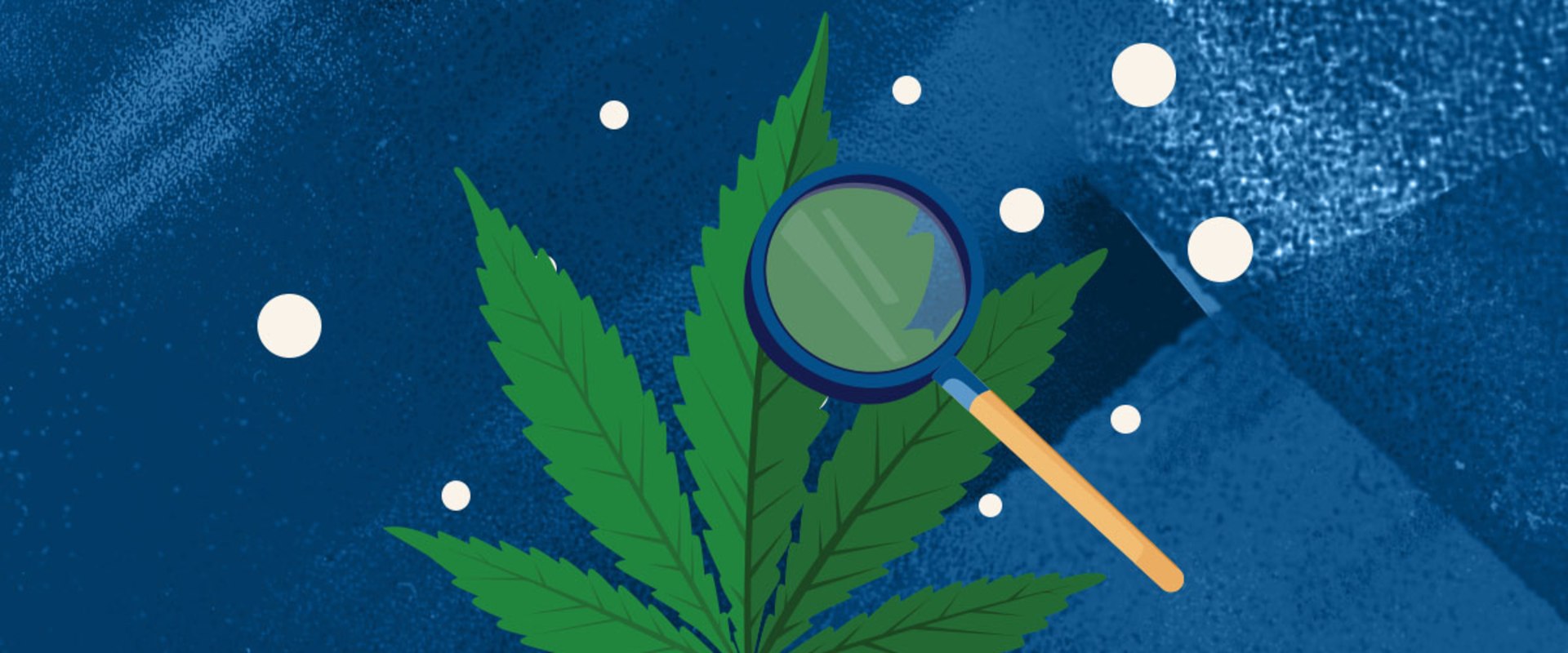 Are there any studies that have been conducted on how long it takes for different forms of cannabis containing different levels of thc-o to take effect?