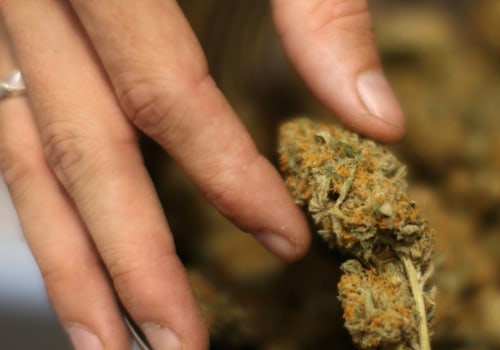 How does the potency of different strains of cannabis containing thc-o vary?