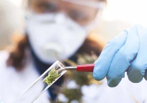 How is thc-o administered in medical settings?