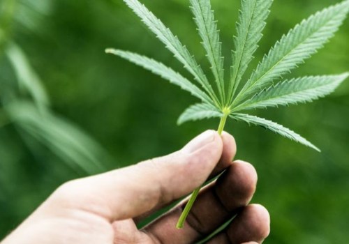 Is thc-o stronger than thc?