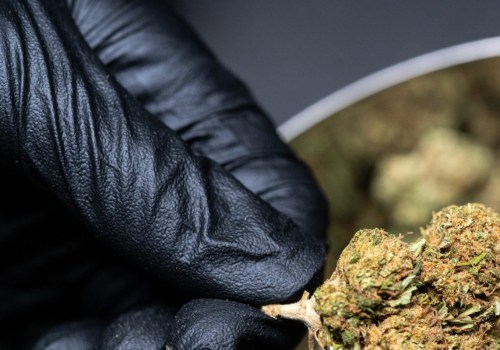 How is thc-o metabolized in the body?