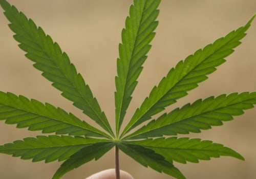 Can thc-o be used to treat cancer symptoms?
